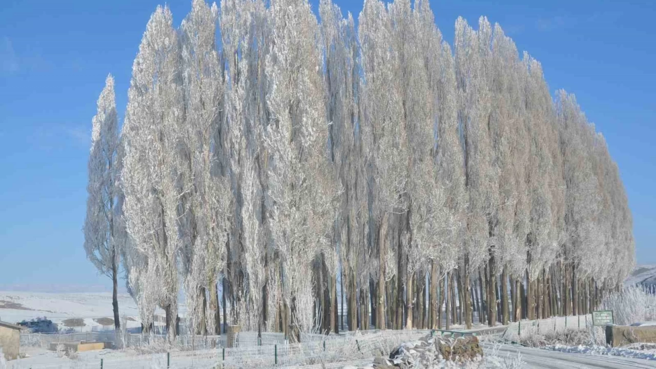 Kars dondu, aalar kra tuttu