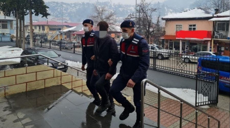 Kiralık araçla 45 koyunu çaldılar