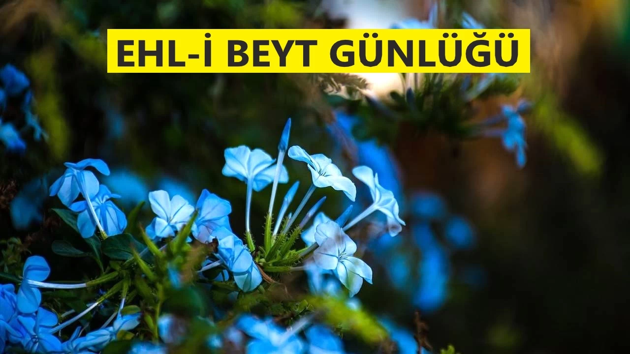 ‘Kitabın râvisi çok, gözeticileri azdır’