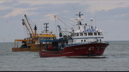 Kıyı balıkçılığını tehdit eden karar