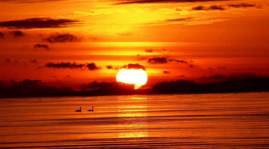 Küçük günahları sakın küçümseme!