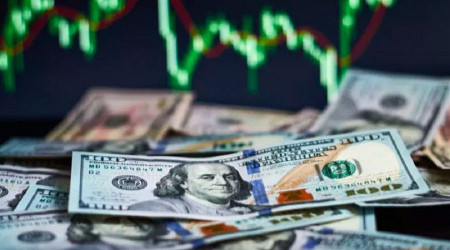 MB açıkladı: Yıl sonunda dolar, faiz ve enflasyon ne olacak?