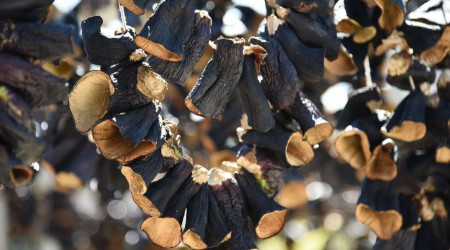 Nazilli'den dünyaya doğal lezzet