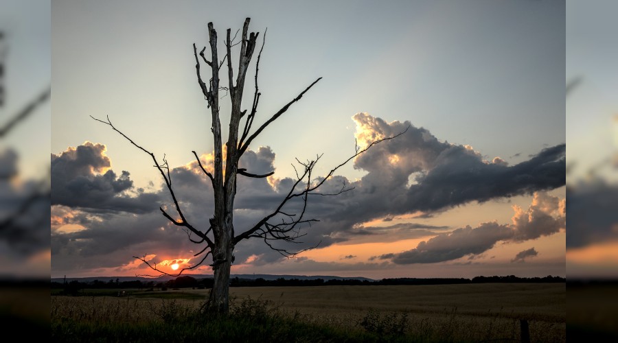 ‘Önce hükümler, sonra ticaret’