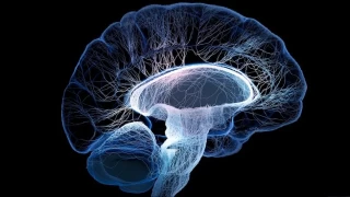 Otizmin genetik sırrı çözülüyor mu?