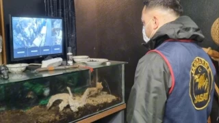 Sakaryalı vatandaşa 25 bin liralık piton cezası