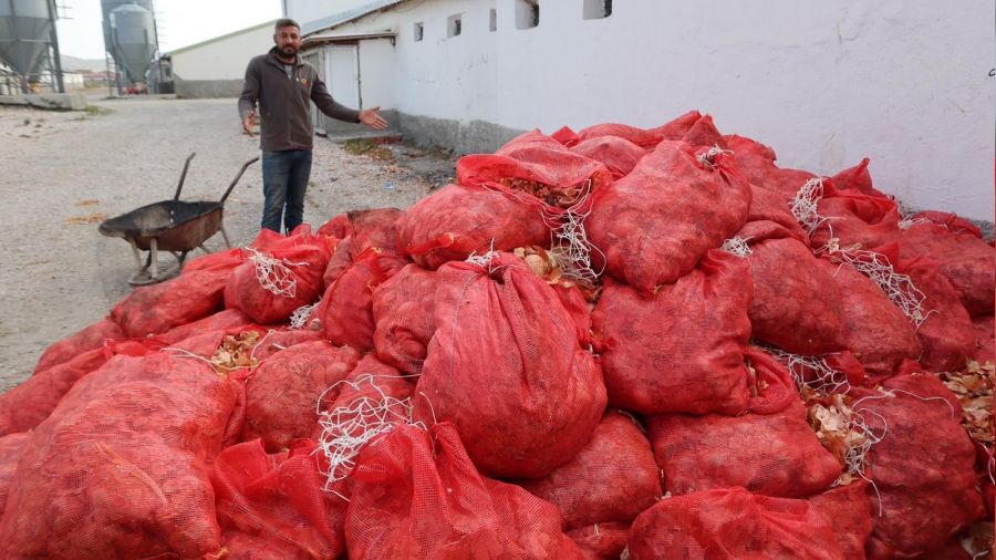 Soğan tarlada çürüyor, rafta ise cep yakıyor