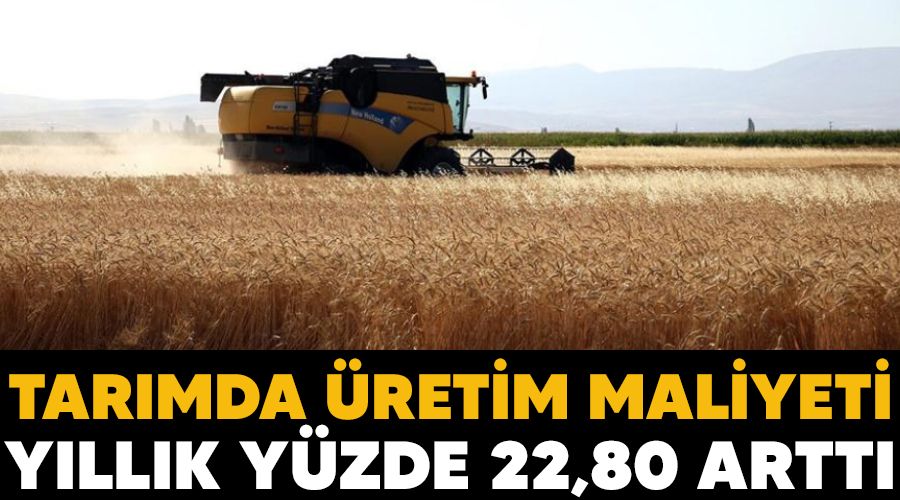 Tarmda retim maliyeti yllk yzde 22,80 artt