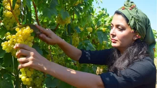 Turgutlu’nun tarım kalbi atıyor