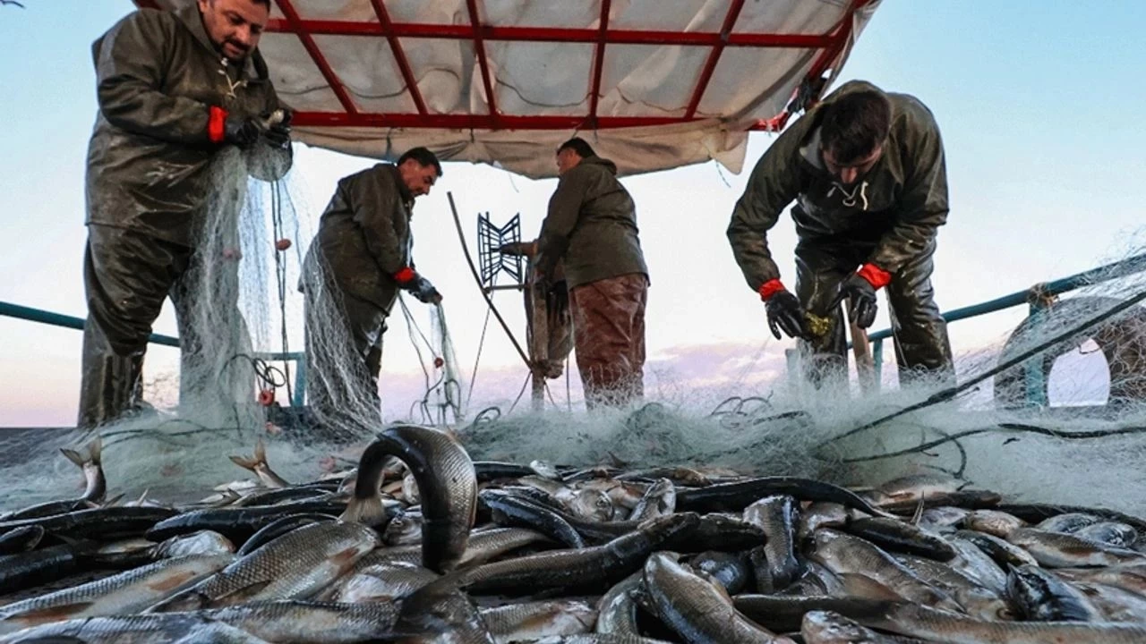 Türkiye zengin bir balıkçılık kültürüne sahiptir