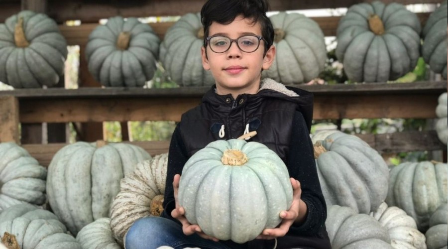 Türkiye'nin her bölgesinde büyük ilgi görüyor