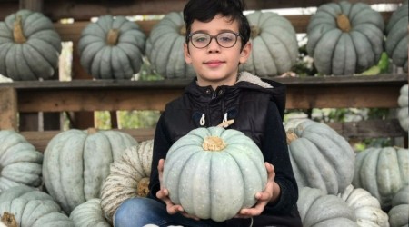 Türkiye'nin her bölgesinde büyük ilgi görüyor