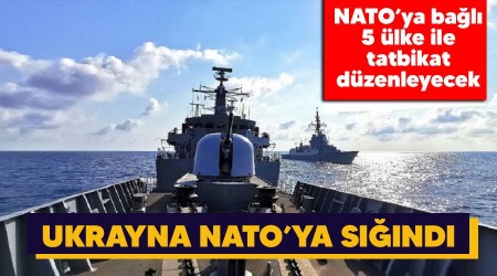 Ukrayna, NATO'ya sığındı