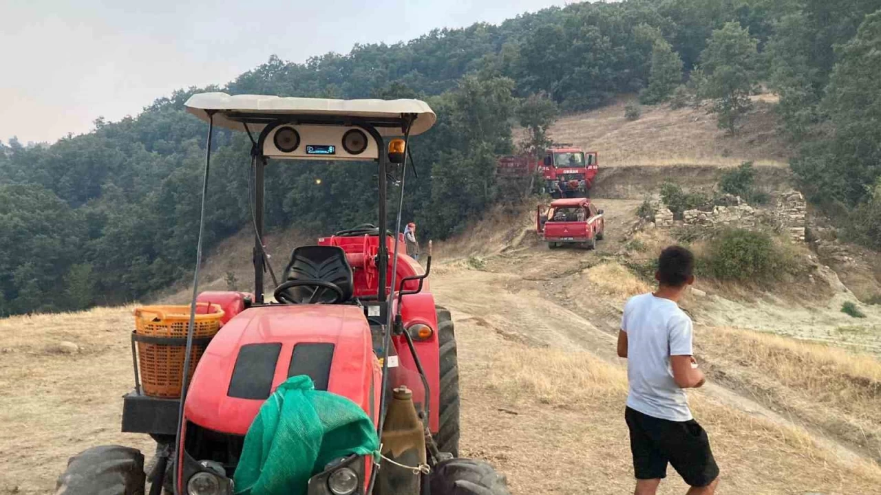 Uşak'taki orman yangını nedeniyle Manisa'da 1 köy boşaltıldı