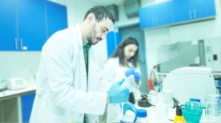 Virüslerin şifresi yarasada