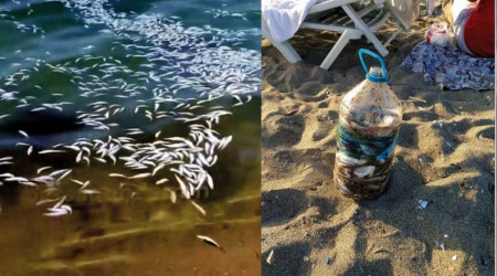 Yakalanacaklarını anlayınca tonlarca yavru mezgiti döküp kaçtılar