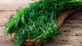 Yaza veda sofralarının vazgeçilmezi: Dereotu Turşusu