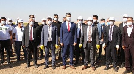 Yerfıstığı hasat şenliği