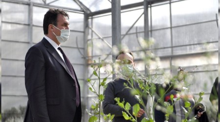 Yerli tohumlar fideye dönüştü