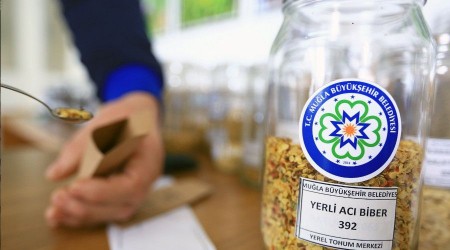 80 İl'e 10 milyon yerel tohum gönderildi