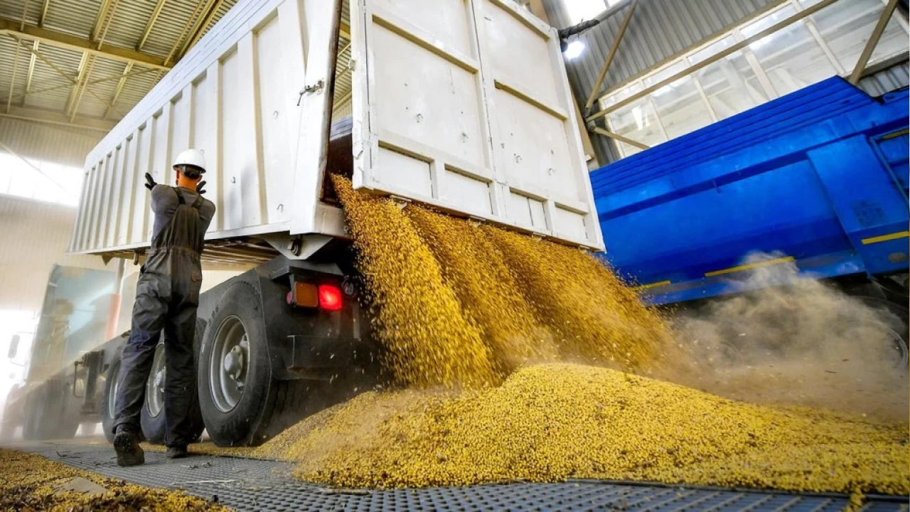 AB'nin Rusya'dan tahıl alımı 10 kat arttı