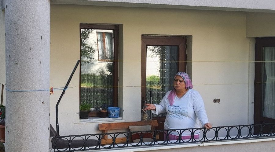 Ağaçları kurutan kelebek şimdi de binaları tehdit ediyor