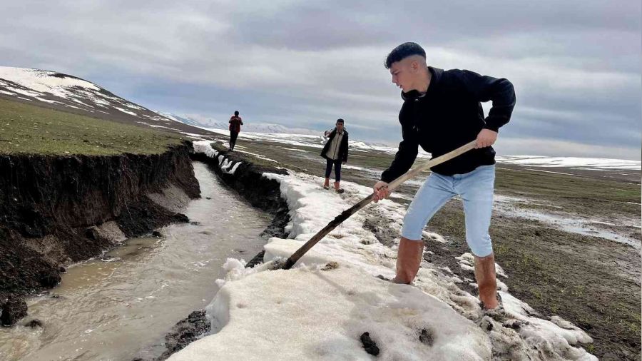 Ağrı'da yağışlar çiftçiye umut oldu