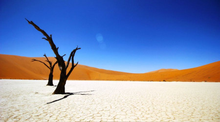 Allah, zulmedenden intikam alır