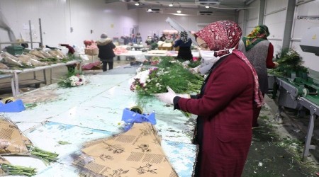 Antalya çiçekten 60 milyon dolar bekliyorr