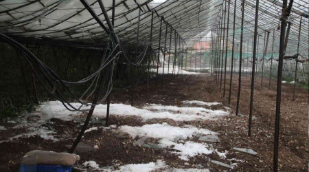 Antalya'da dolu yağışı cam seraları yıktı