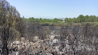 Antalya'da orman yangnnda 2 hektar alan zarar grd