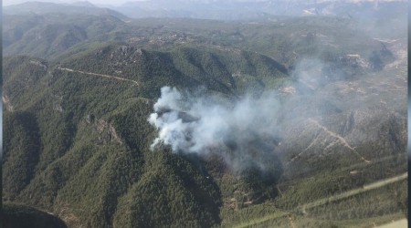 Antalya'daki yangında 10 hektarlık orman yandı