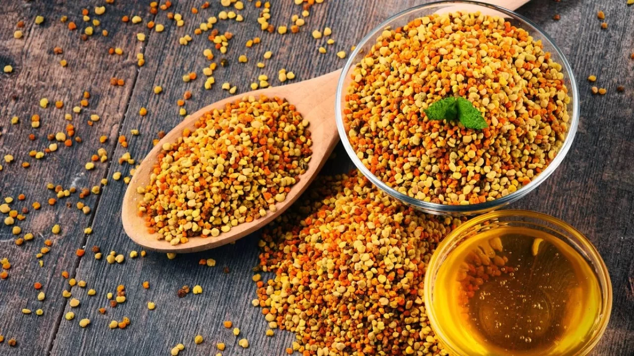 Arı polenleri yapay zekayla daha hızlı sınıflandırılıyor