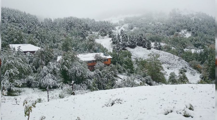 Artvin'de yaylalar beyaza büründü
