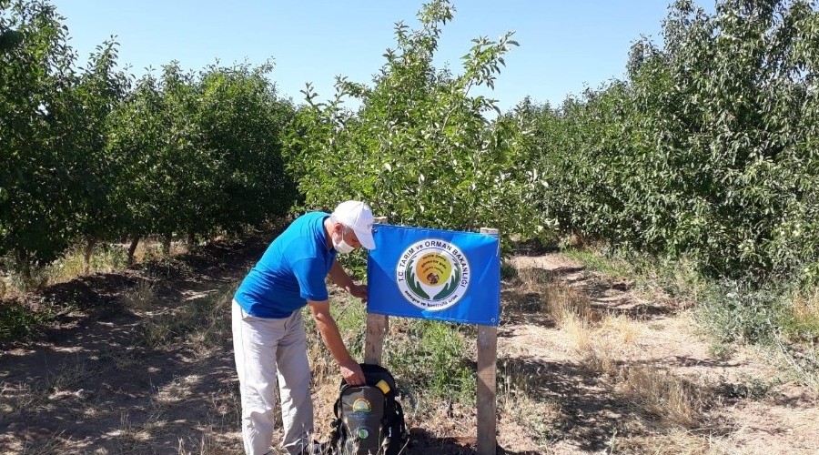 Bahçelere mavi bayrak