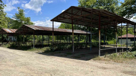 Bartın'da şap hastalığı nedeniyle hayvan pazarları kapatıldı