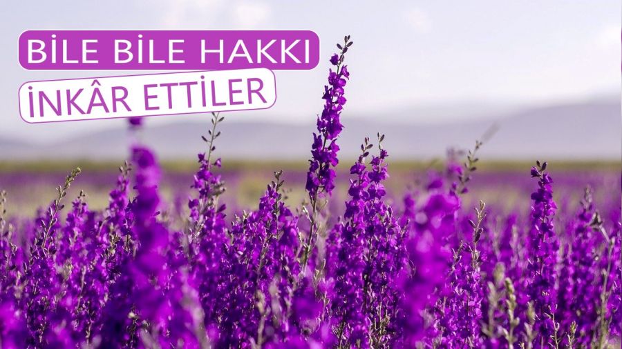 Bile bile hakkı inkâr ettiler