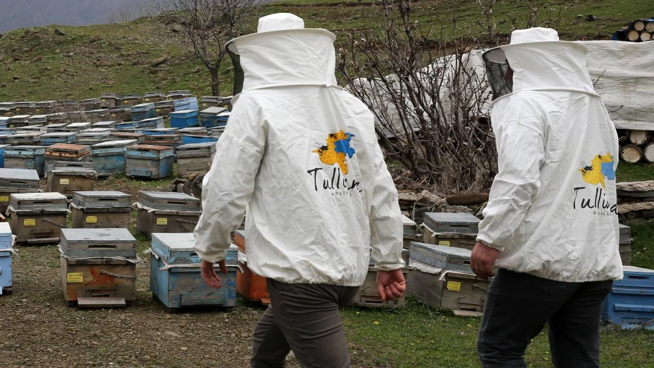 Bitlis balına Paris'te "Altın Bal" ödülü