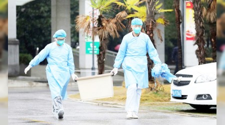 Çin'de ölümcül salgın yayılıyor