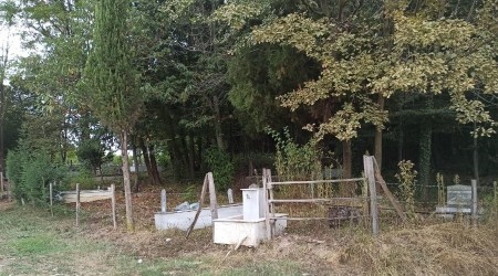 Defineciler eski mezarlara da dadandı