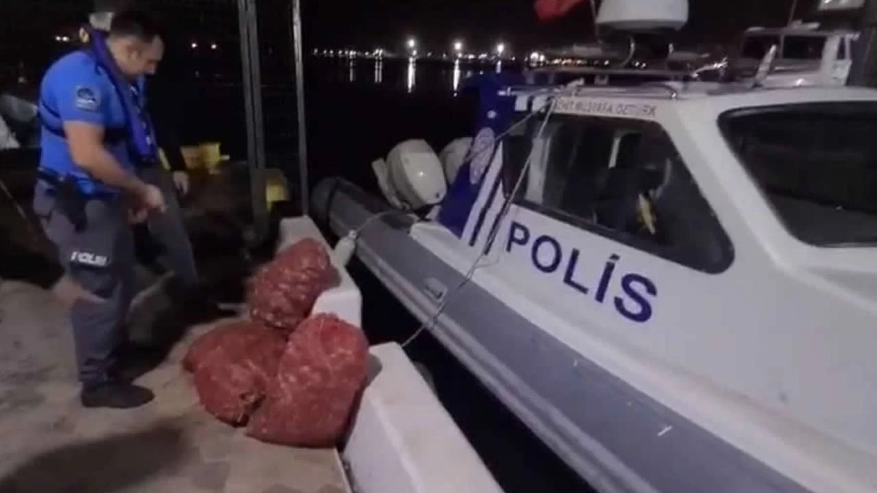 Denizde kaçak salyangoz avlayan kişiye 66 bin TL ceza