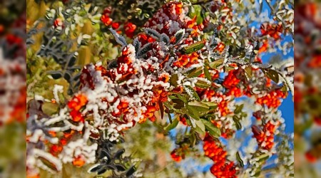 Doğunun geceleri artık sıfırın altında