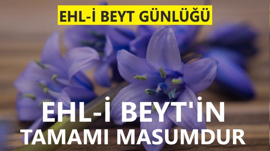 Ehl-i Beytin tamam masumdur