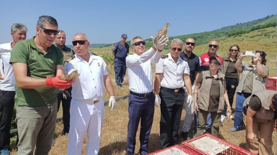 Erdek'te 350 sülün ve keklik doğayla buluştu