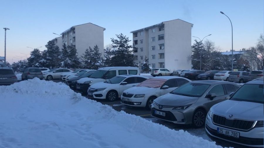 Erzurum dondurucu soğuklara teslim