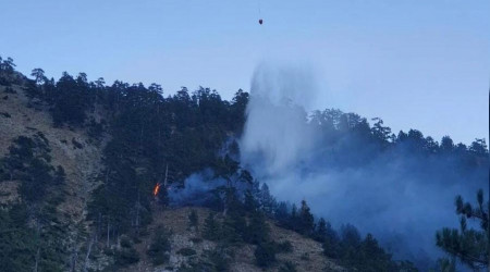 Feke'de orman yangını kontrol altında