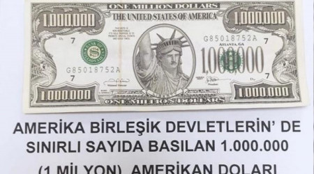 Grpnar'da 1 milyon dolarlk banknot ele geirildi