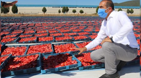 Hedef 1 milyar dolar ihracat