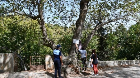 İki asırdır insanlar gölgelerinde
