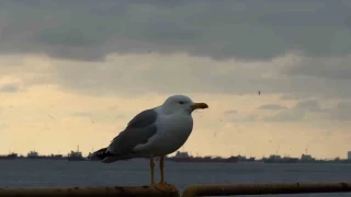 stanbul'da kar ya etkisini yer yer arttrd